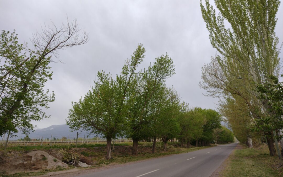 Miércoles con descenso de la temperatura en Mendoza