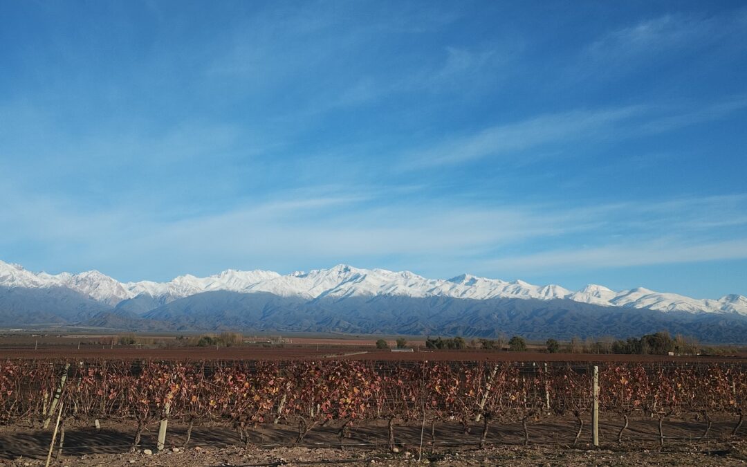Viernes con vientos leves del noreste en Mendoza