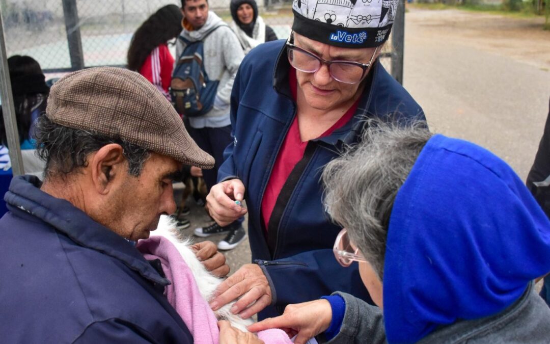 Castraciones para perros y gatos: la Veterinaria Móvil recorre Tunuyán con operativos gratuitos